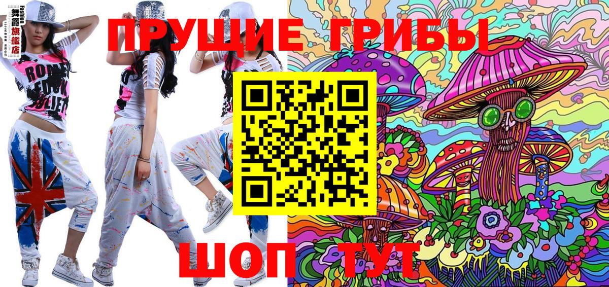 Псилоцибиновые грибы GOLDEN TEACHER  как найти наркотики  Вход с VPN  Нижний Тагил  Галлюциногенные грибы Psilocybe 